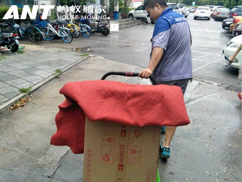 打包时心情管理,别在搬家中耗尽自己