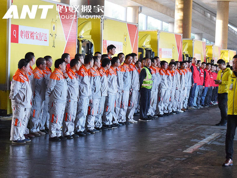 成都搬家公司优选:为什么蚂蚁搬家是您的靠谱之选?