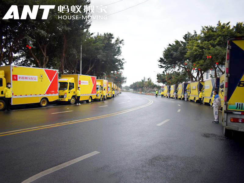 成都公司搬迁服务详解：为什么蚂蚁搬家备受推荐？