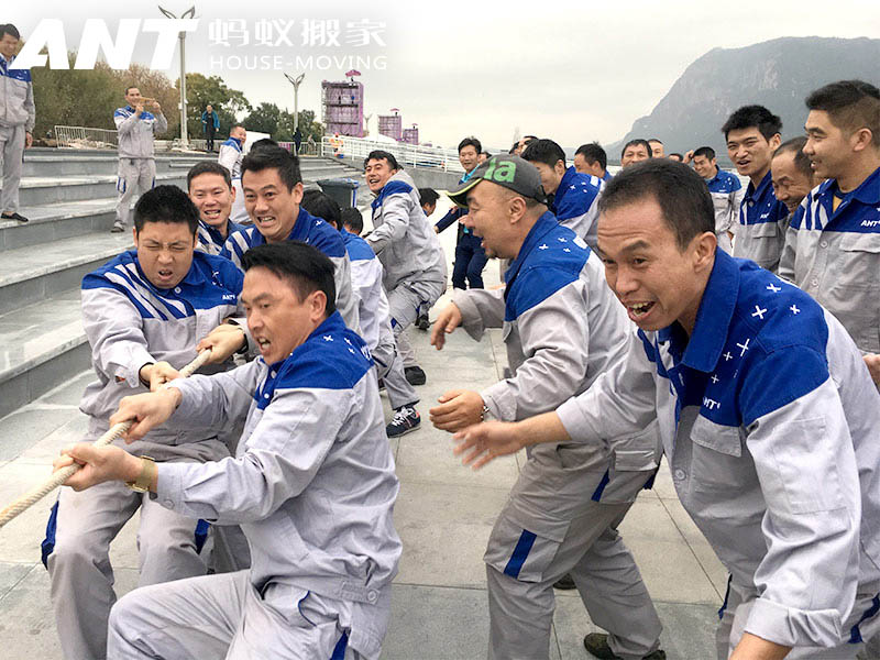 南宁企业搬迁服务：为什么推荐蚂蚁搬家？