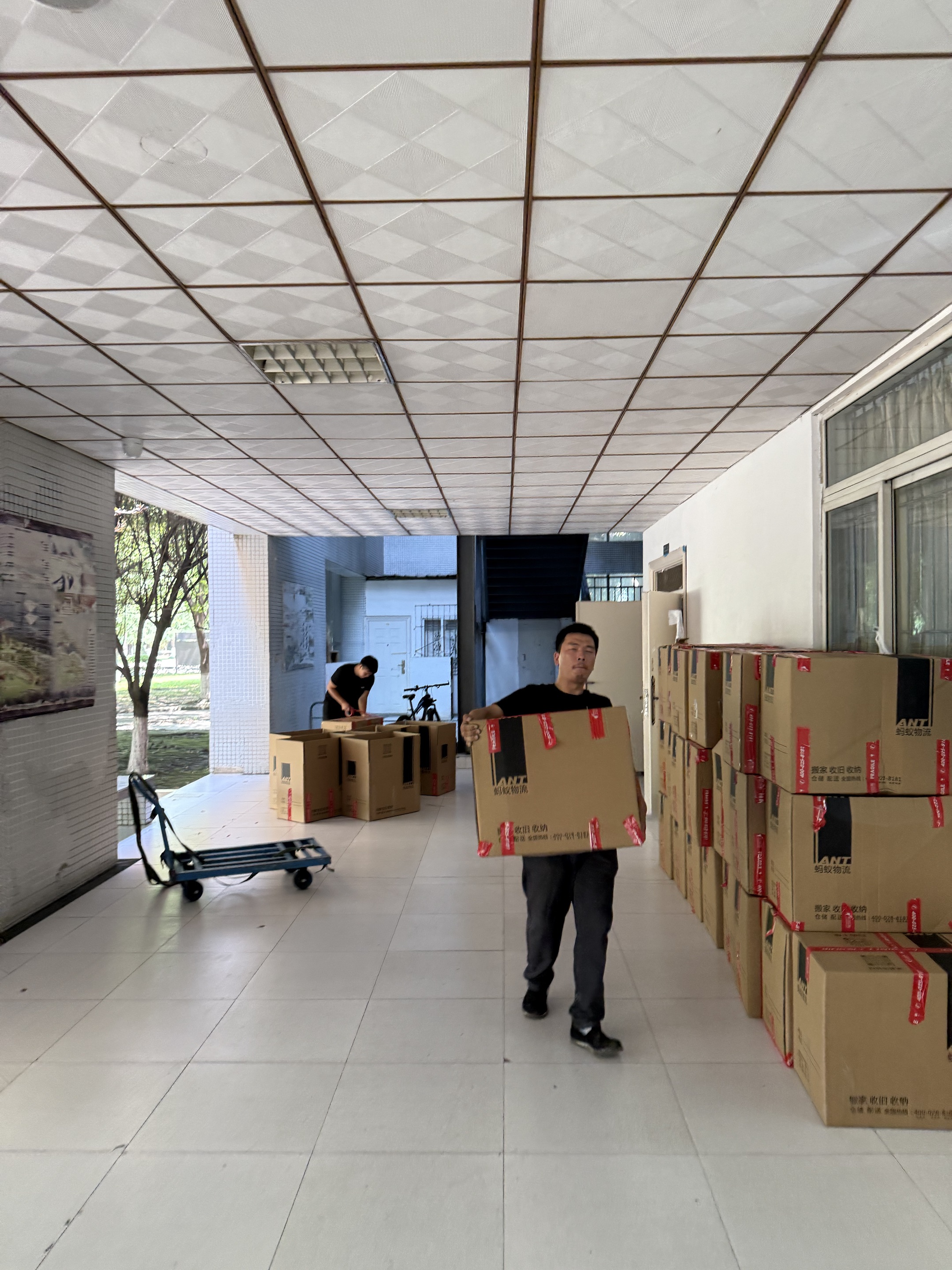 杭州搬家变轻松，蚂蚁搬家让效率翻倍 